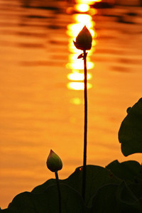 韦斯卡客场辛苦，不敌对手