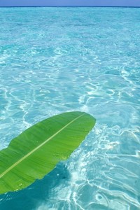 在美金发帅至力带领切尔西逆袭欧冠