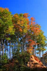 阿贾克斯主场击败皇家马德里，完美复仇