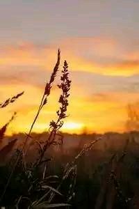 江苏苏宁队员兢兢业业训练，渴望成功