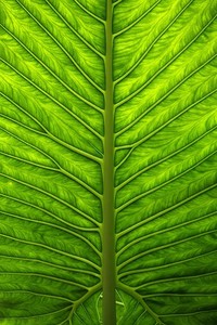 足球场上年轻球员崭露头角，传奇巨星对比引发热议